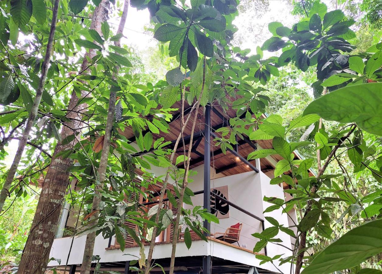 Lodge Satta (adults Only) *