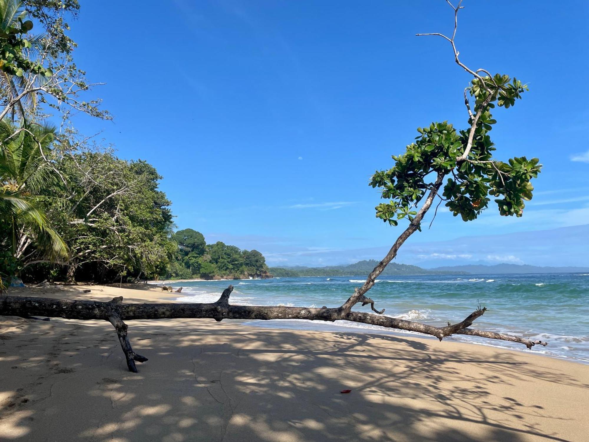 Satta (adults Only) Lodge