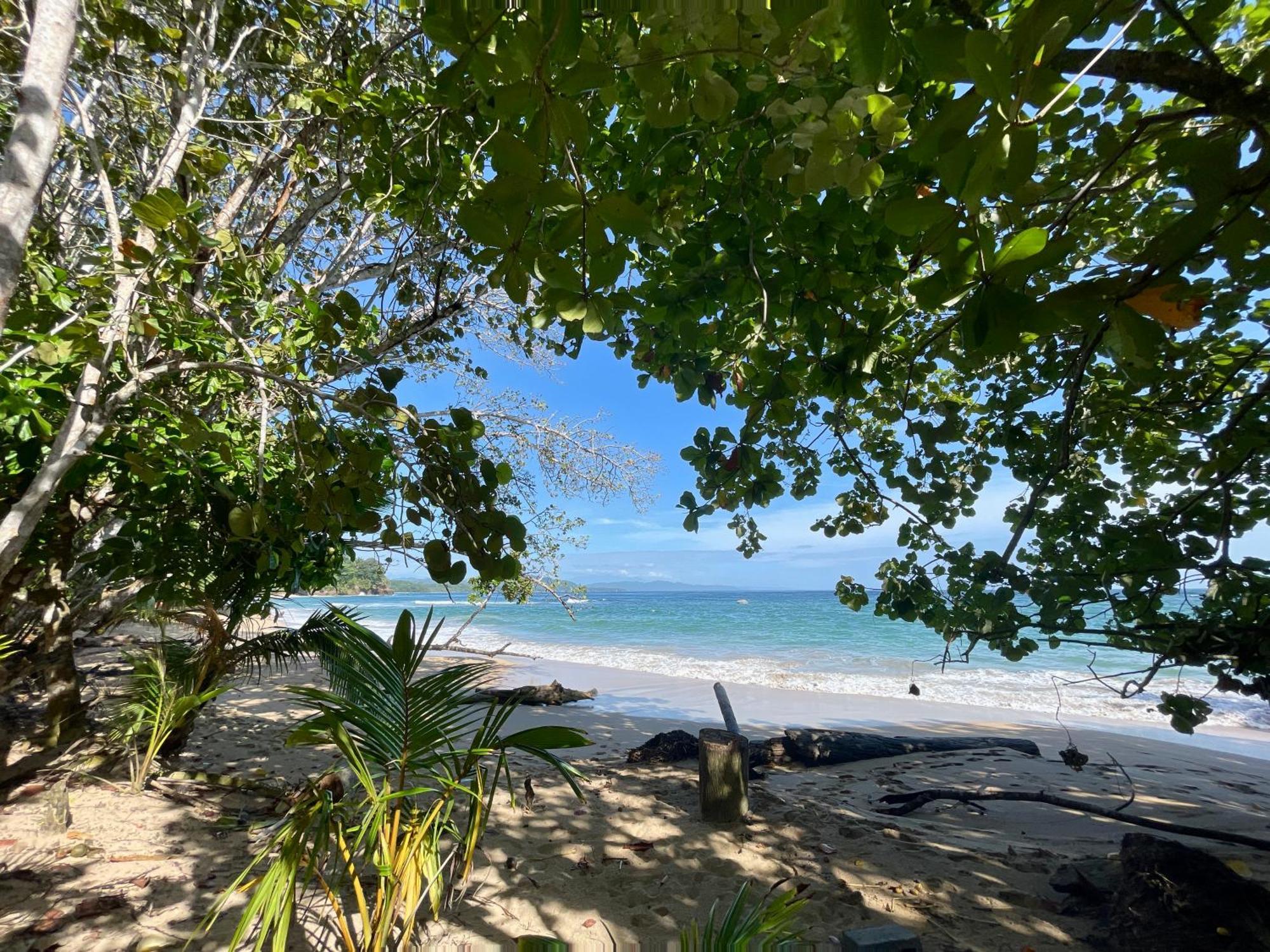 Satta (adults Only) Lodge Puerto Viejo de Talamanca